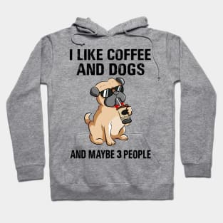 I Like Coffee And Dogs And Maybe 3 People Hoodie